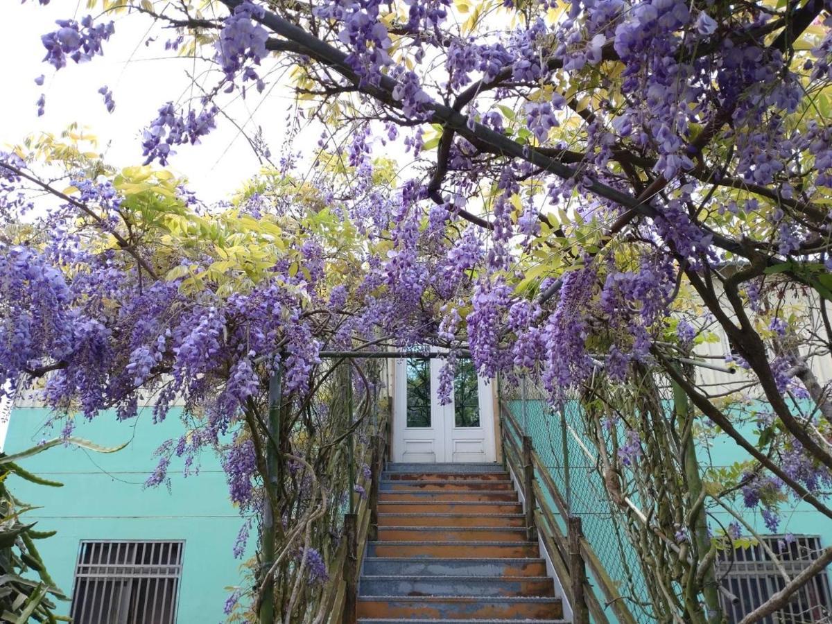 Youlin Homestay Meishan Ngoại thất bức ảnh